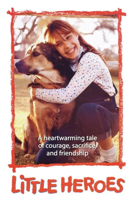 小英雄1991：勇气与成长的经典传奇之旅